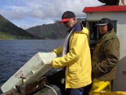 Norwegen 2008 Rundereim